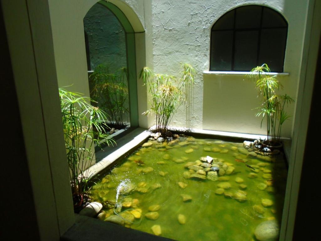 Paulina Youth Hostel Oaxaca Exterior photo